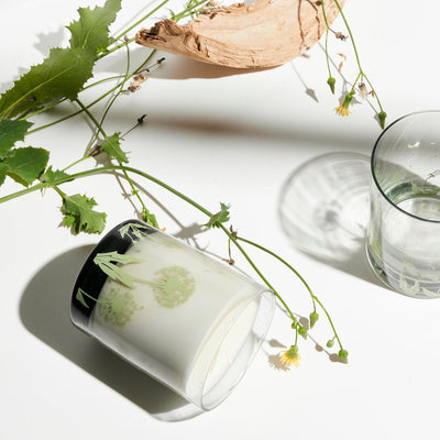 Botanical Collection - sale!!