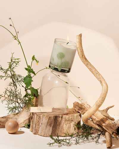 Botanical Collection | Tester Candles