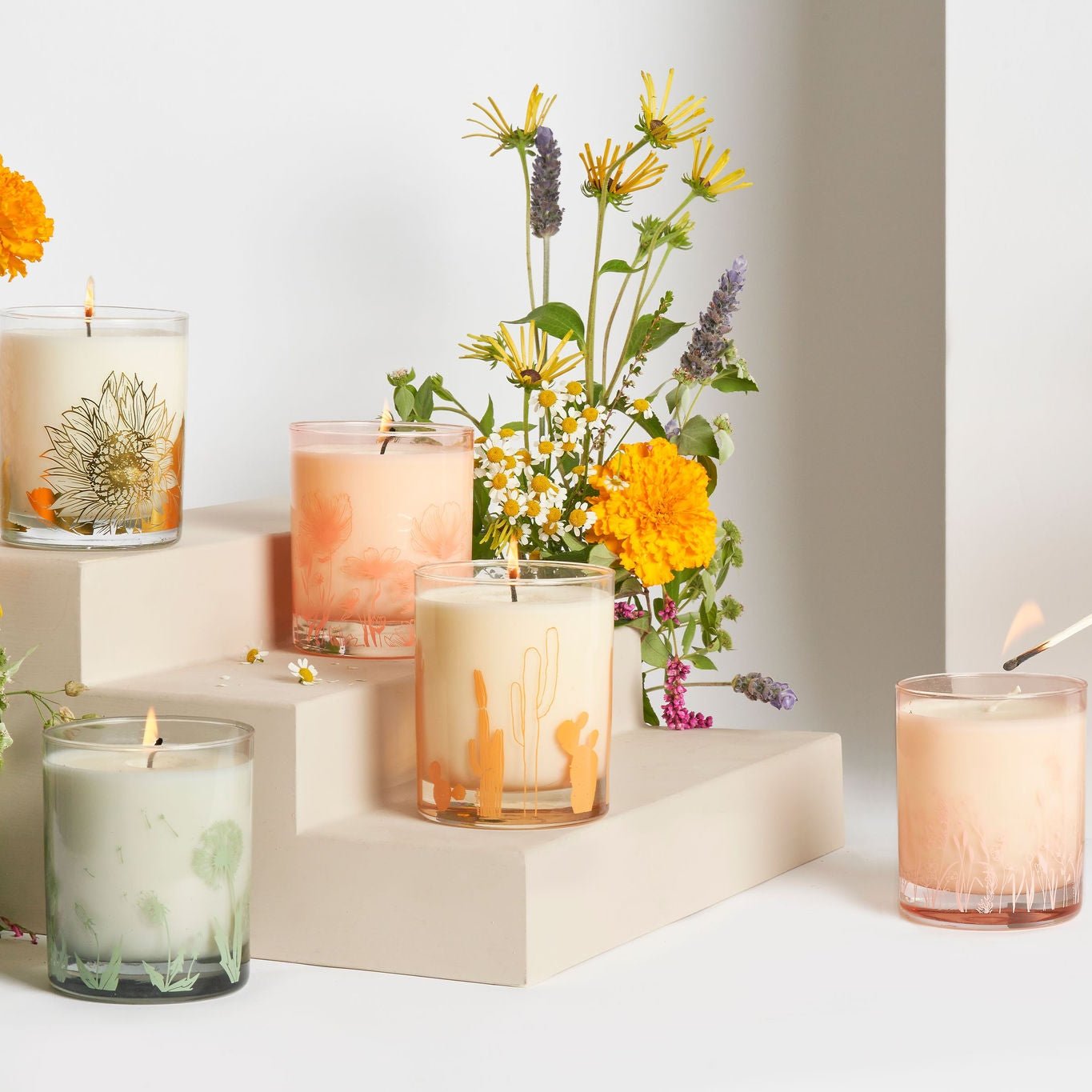 Botanical Collection - sale!!