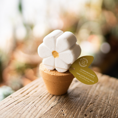 daisy flower pot froth bomb: 2-in-1