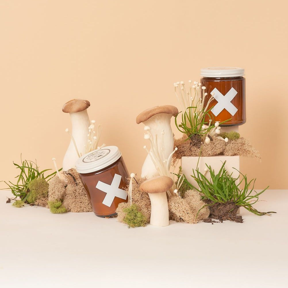 x into woods subscription